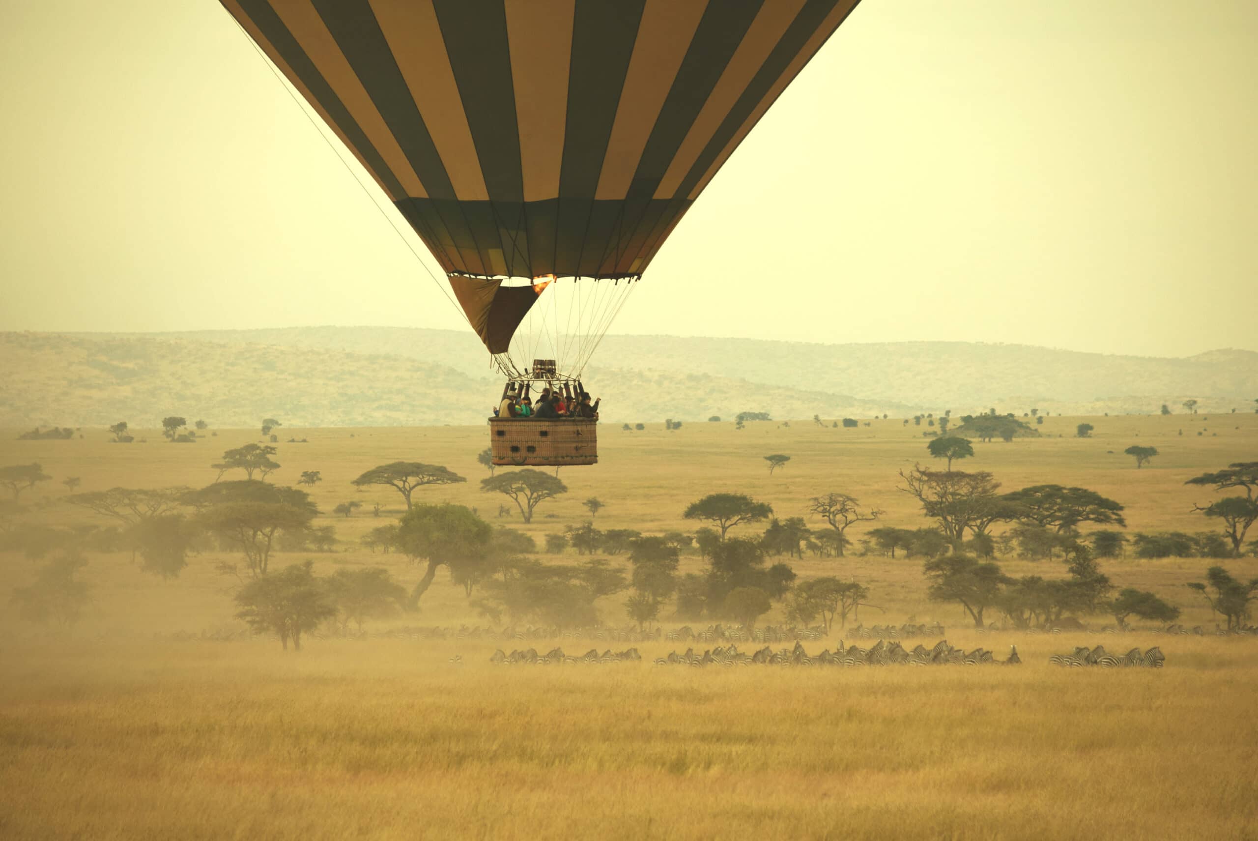 Serengeti_National_park_mambojambo.online_clicknprinttz_282